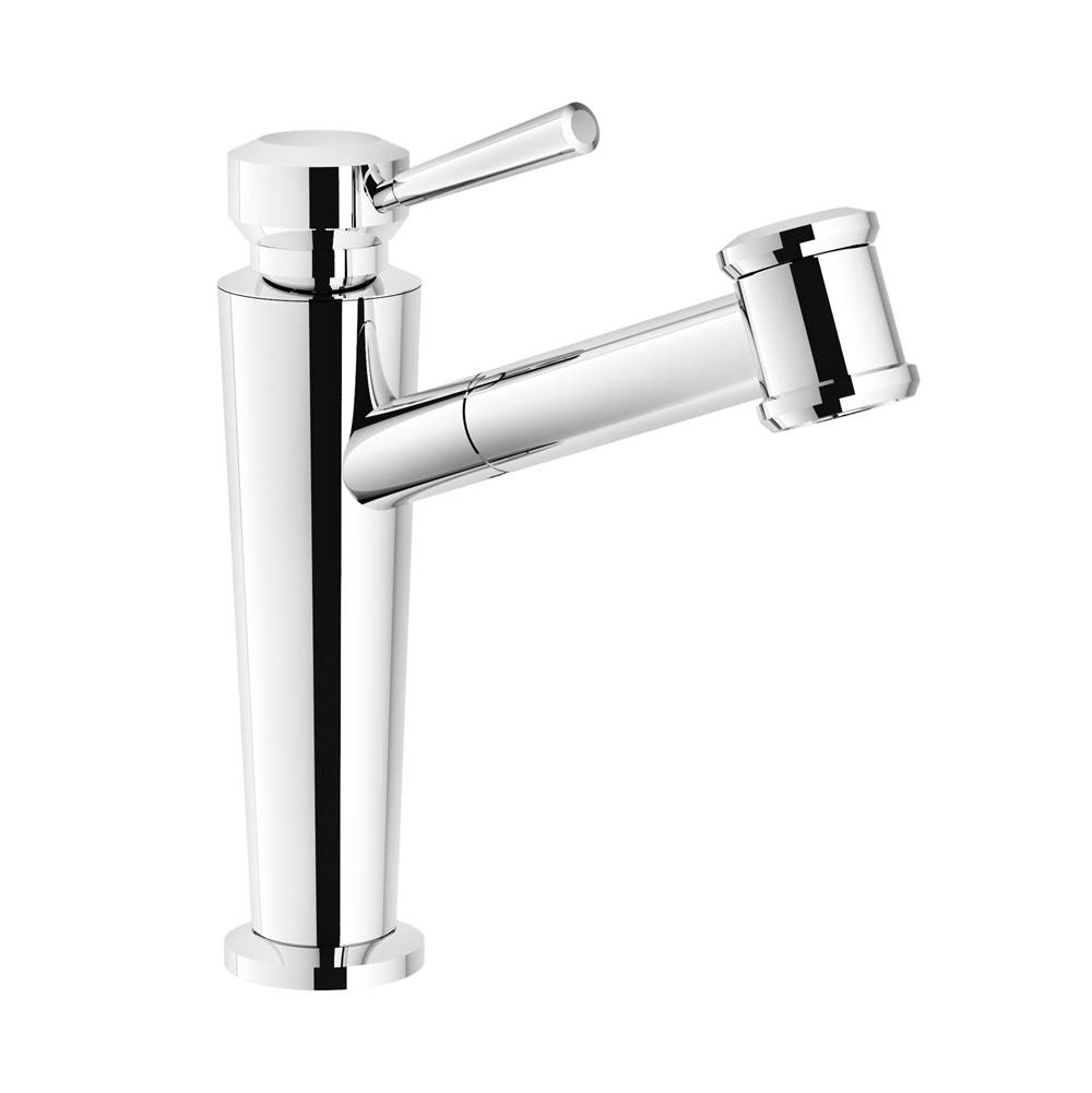 Franke Absinthe Pull Out Faucet Chrome