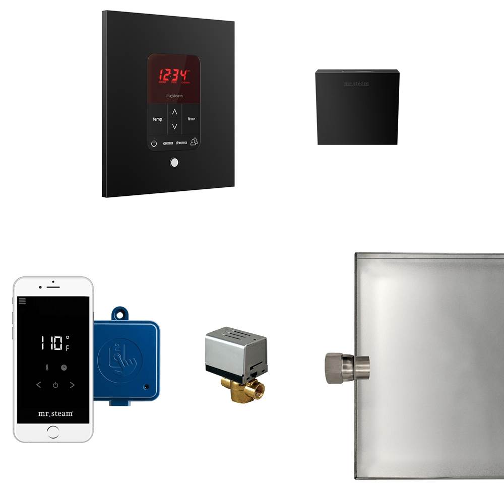 Mr. Steam Butler Steam Shower Control Package with iTempoPlus Control and Aroma Designer SteamHead in Square Matte Black